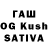 Галлюциногенные грибы GOLDEN TEACHER ILYA303