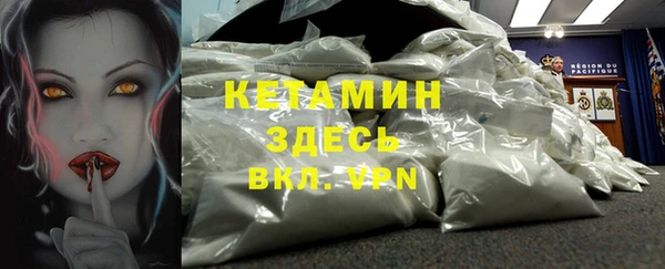сатива Вяземский
