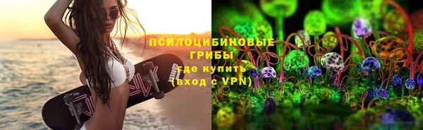 сатива Вязьма
