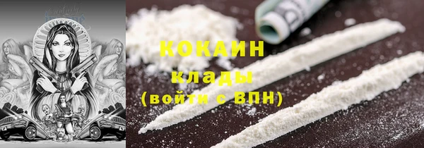 сатива Вяземский